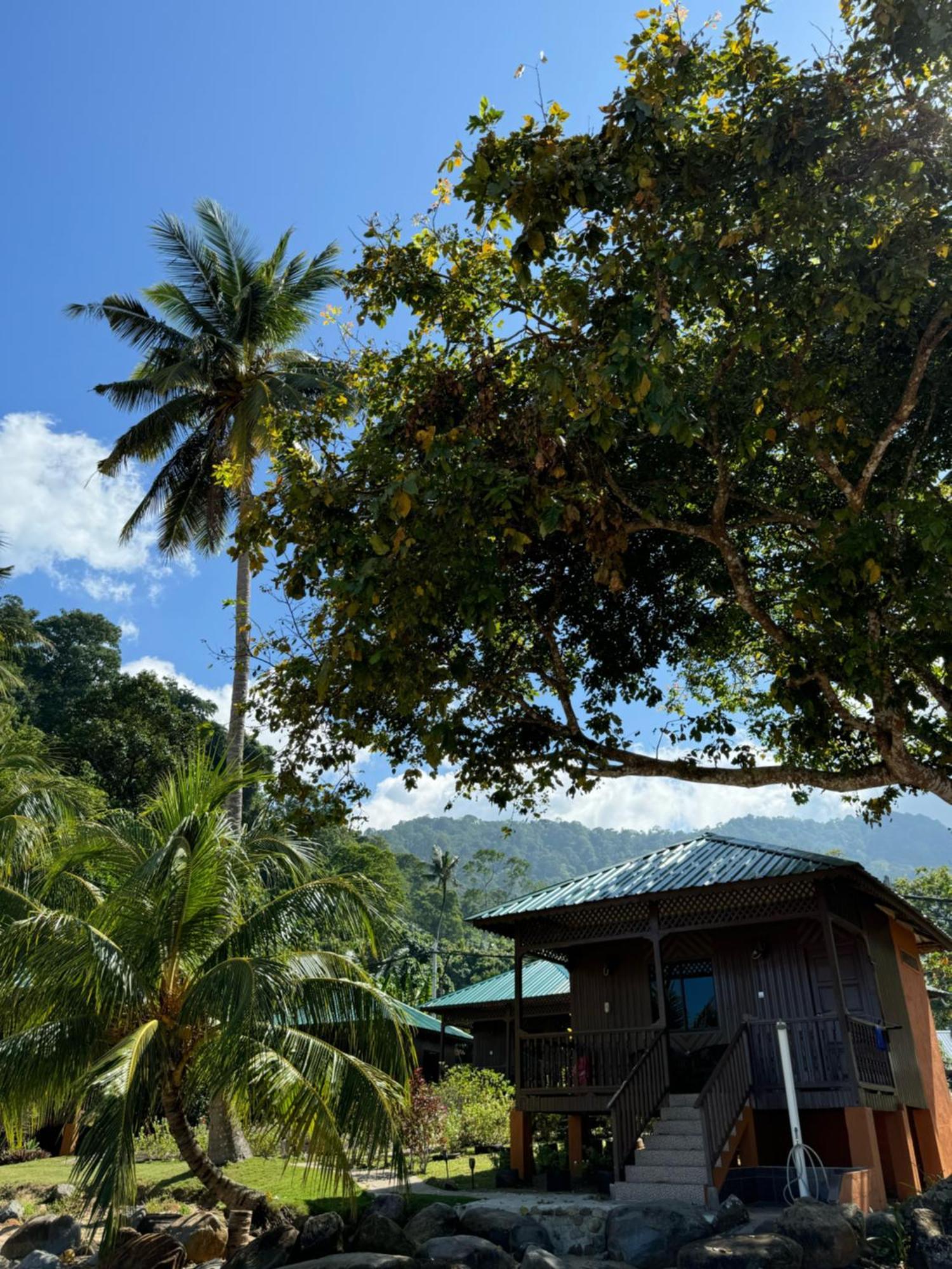 Abc Chalet Tioman Kampong Ayer Batang Экстерьер фото